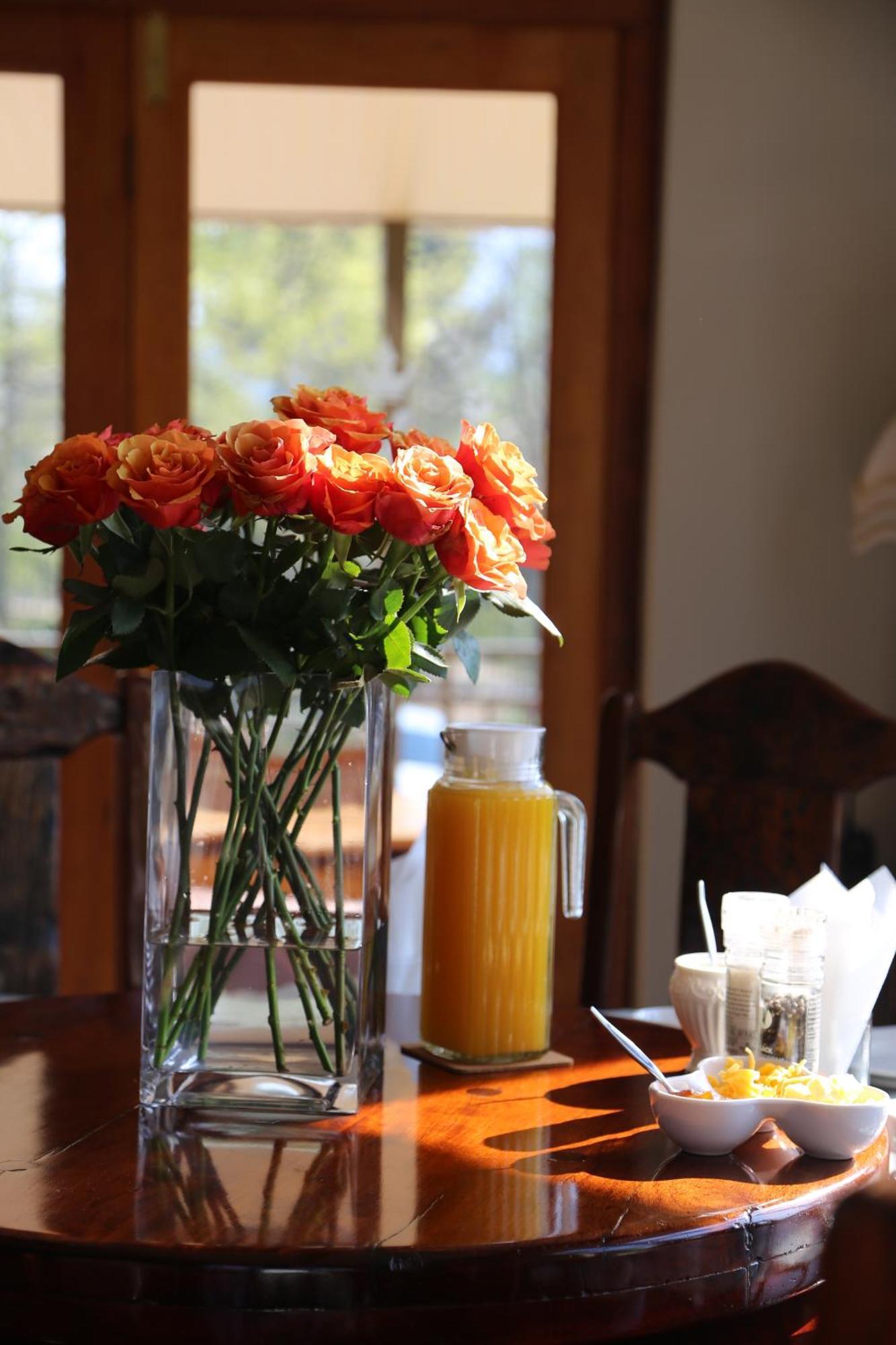 Mt Horeb Manor Clarens Ngoại thất bức ảnh